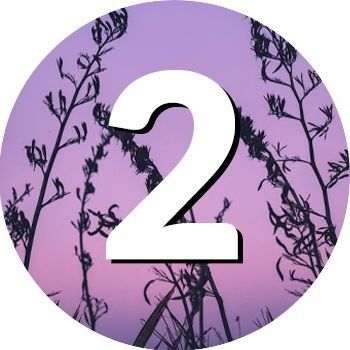 numerologia w czerwcu