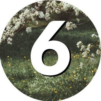 numerologia w czerwcu