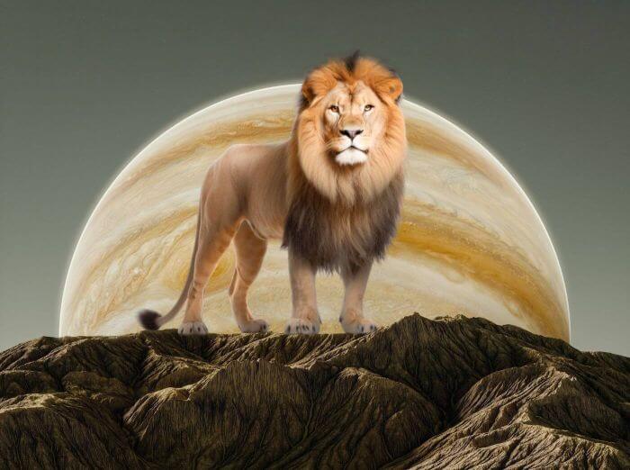 Jowisz w Lwie horoskop dla zodiaku